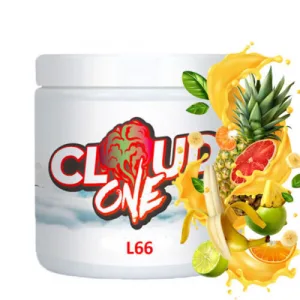 L66 Cloud One 200gr