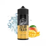 STEAM TRAIN GHOST TRAIN 30ML/120ML