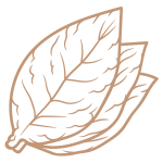 LEAF TOBACCO LOGO