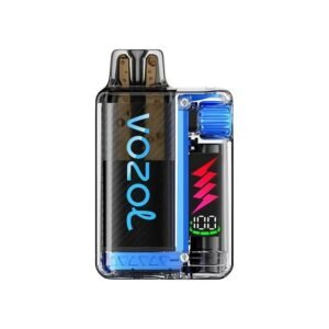 Vozol 10k Puffs Disposable 20mg Blue Razz Ice