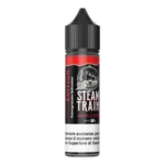 Steam Train POD Edition Book a Ride 60ml